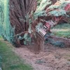 Bert Godding Portfolio 506